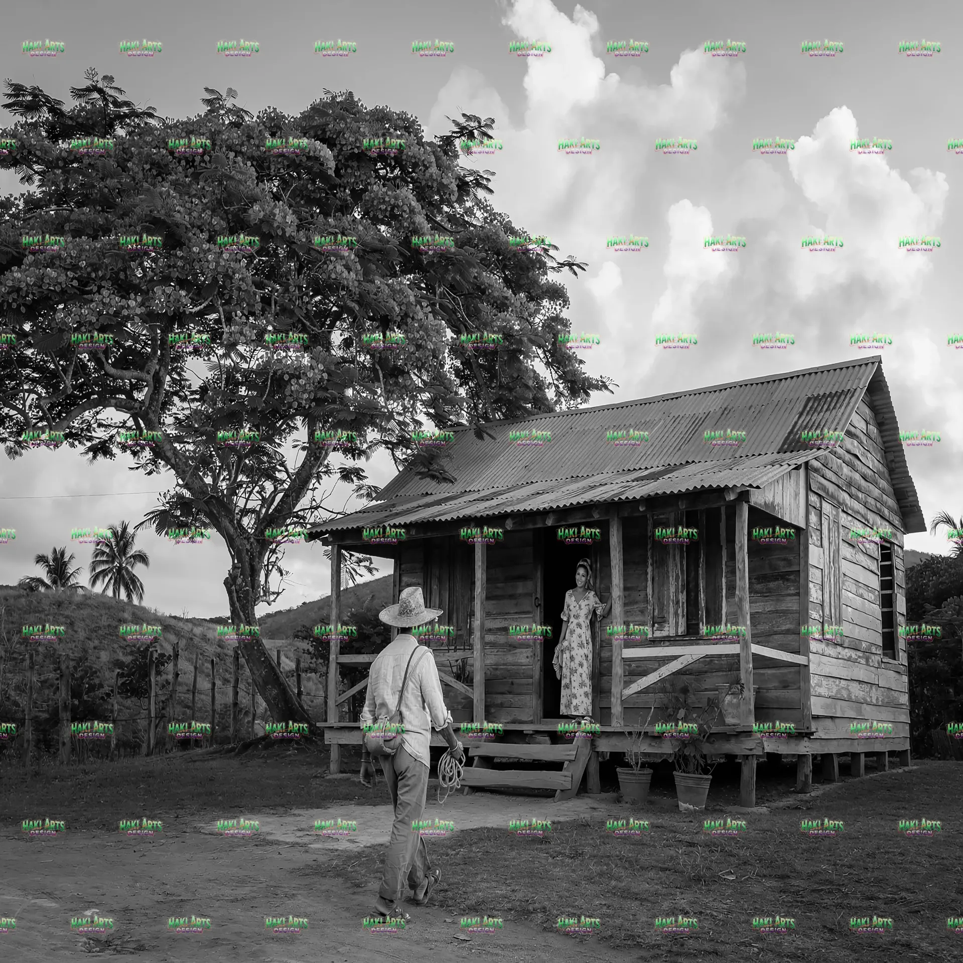 Jibaro, Casa y Flambo 4 White & Black (6" x 4", 12" x 12")